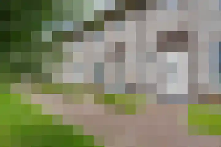Jean Lotenpad 23 Middenbeemster thumbnail 51