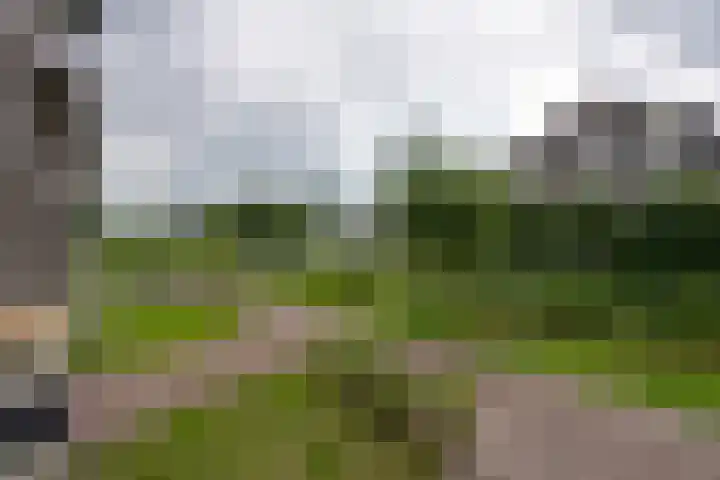 Jean Lotenpad 23 Middenbeemster thumbnail 54