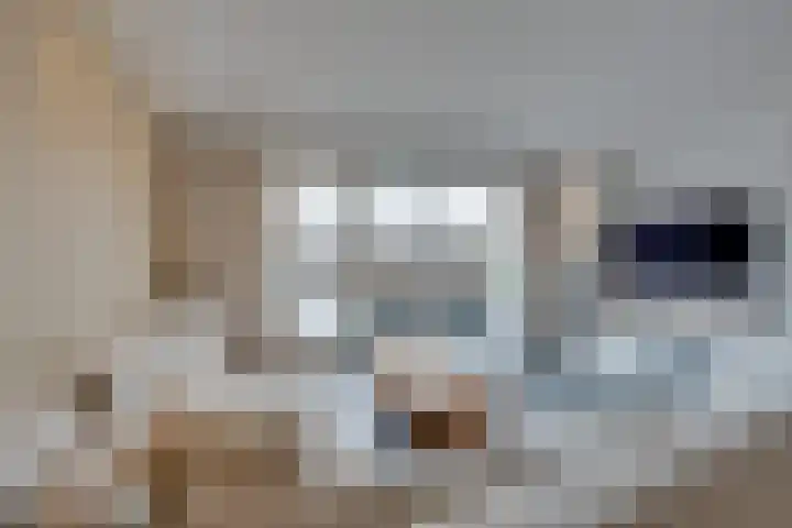 Jean Lotenpad 3 Middenbeemster thumbnail 10
