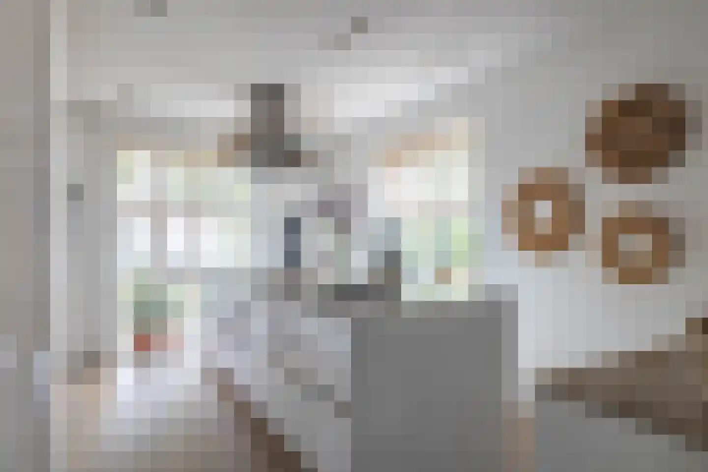 Jean-Louis Pisuisselaan 2 Beverwijk thumbnail 11