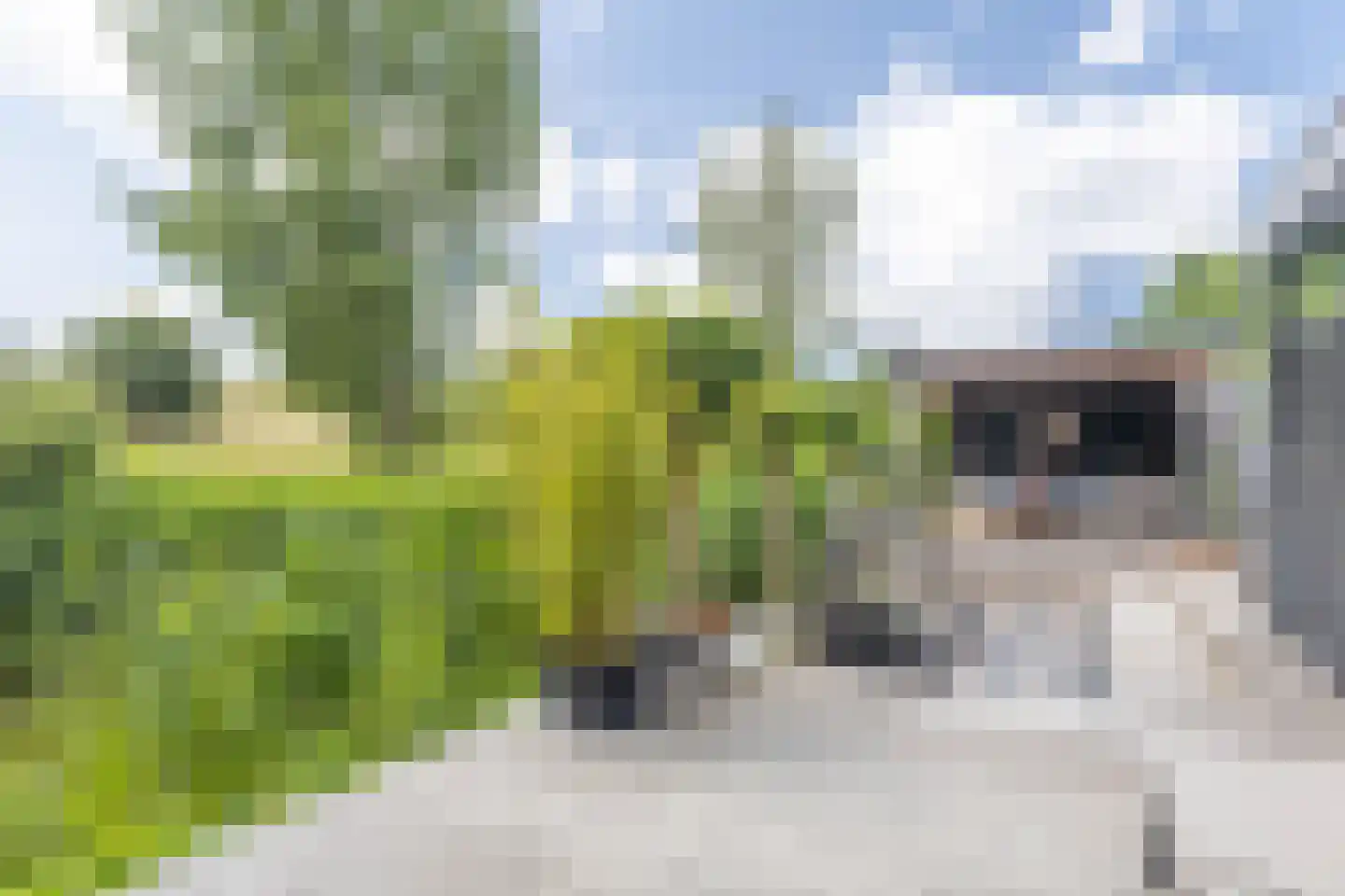 Jean-Louis Pisuisselaan 2 Beverwijk thumbnail 28