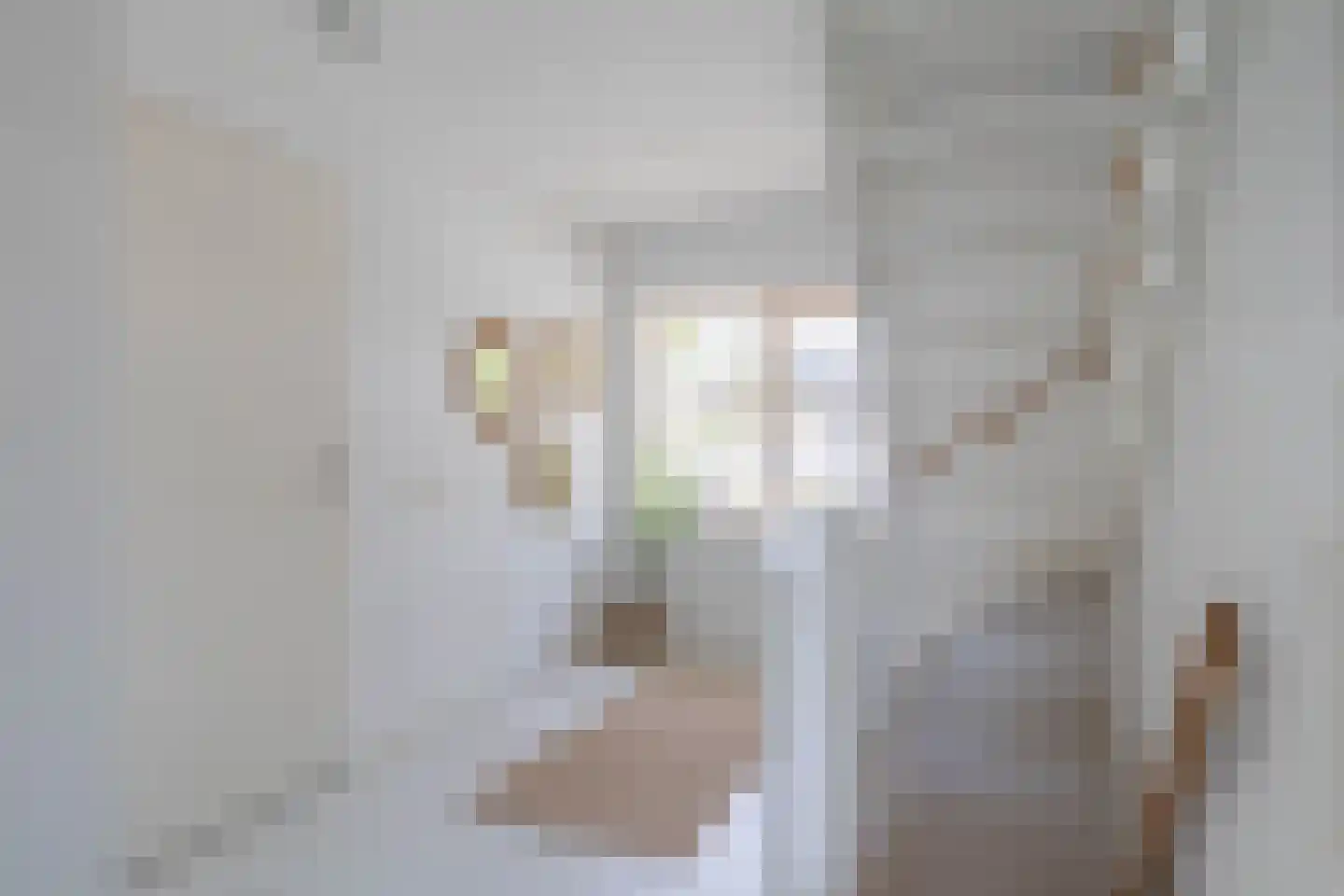 Jean-Louis Pisuisselaan 2 Beverwijk thumbnail 40