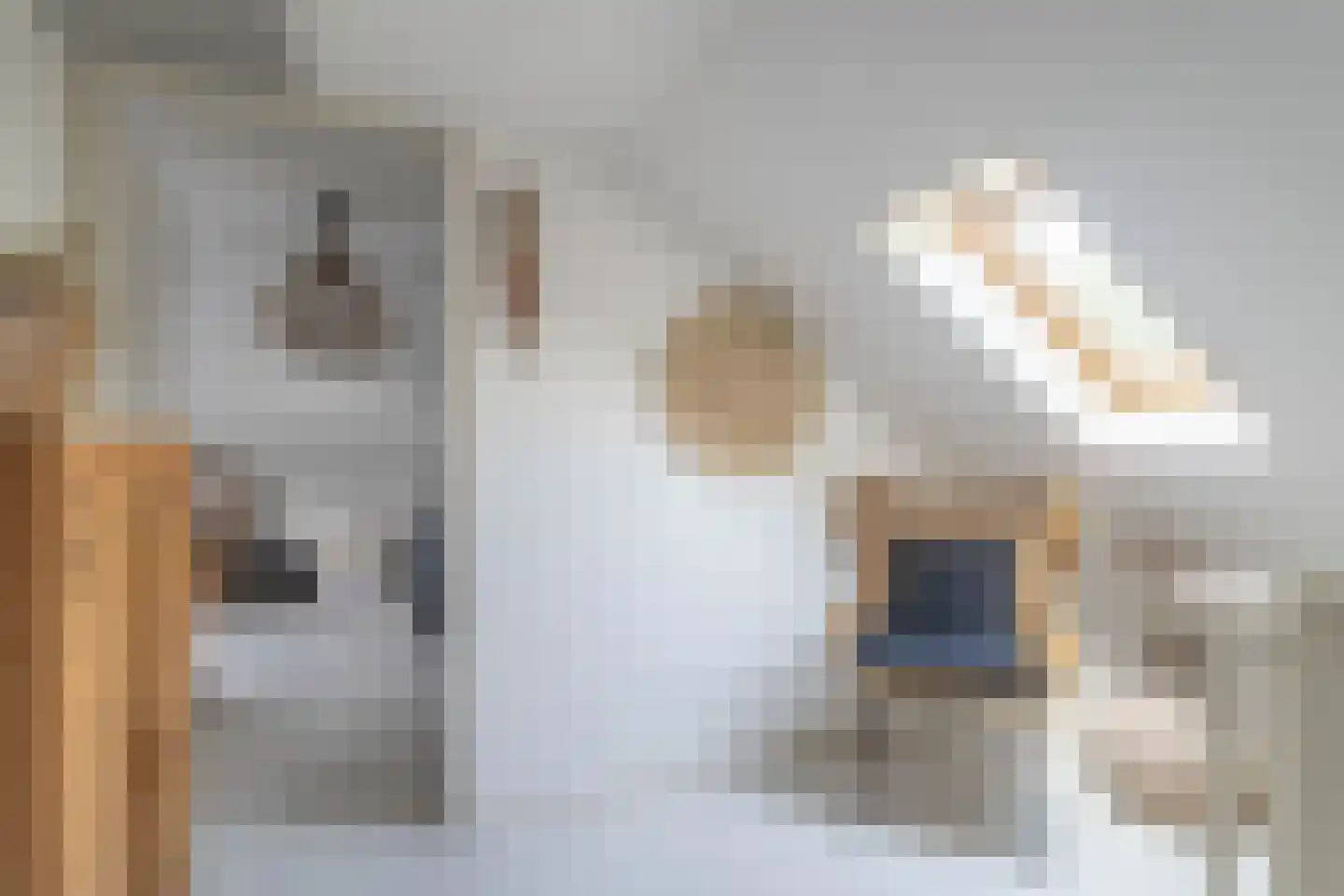 Jean-Louis Pisuisselaan 2 Beverwijk thumbnail 41