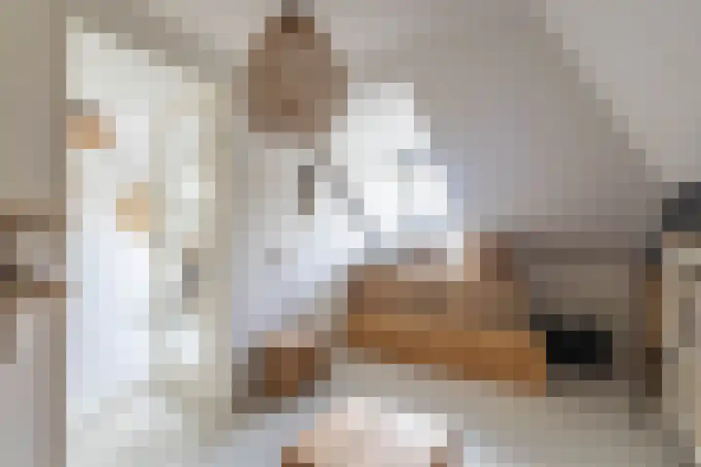 Jean-Louis Pisuisselaan 2 Beverwijk thumbnail 45