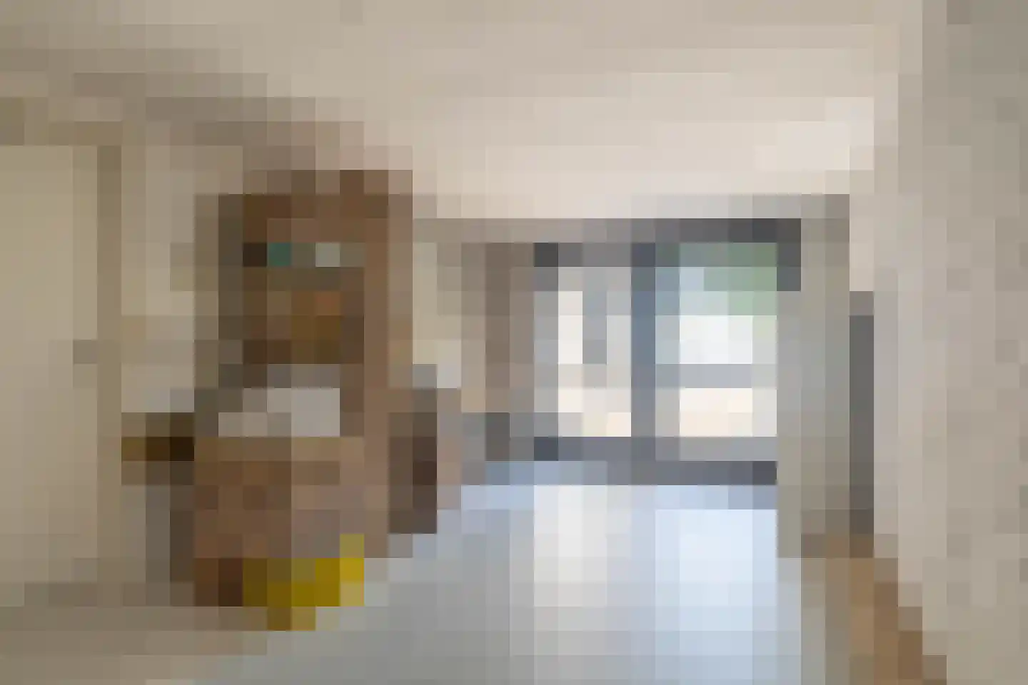 Jean-Louis Pisuisselaan 2 Beverwijk thumbnail 46