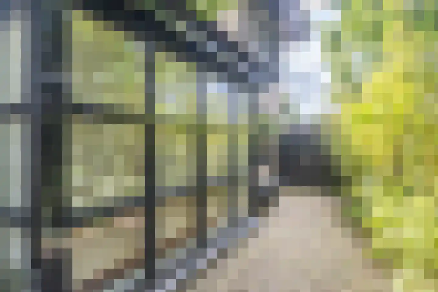 Jean-Louis Pisuisselaan 2 Beverwijk thumbnail 5
