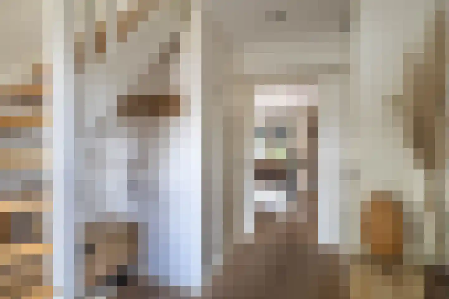 Jean-Louis Pisuisselaan 2 Beverwijk thumbnail 7