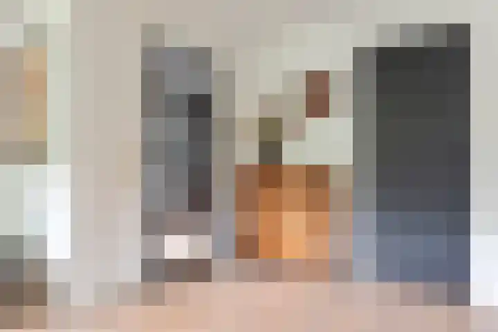 Jean-Louis Pisuisselaan 59 Beverwijk thumbnail 13