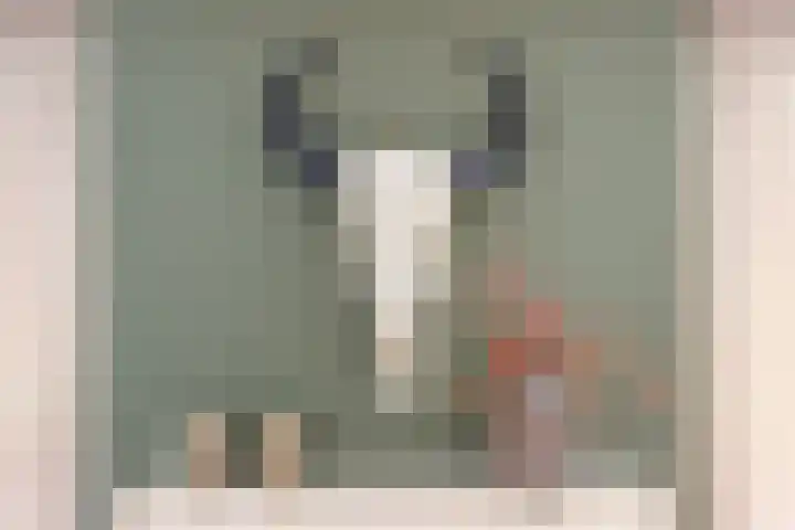 Jean-Louis Pisuisselaan 59 Beverwijk thumbnail 17