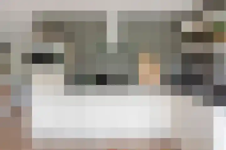 Jean-Louis Pisuisselaan 59 Beverwijk thumbnail 18