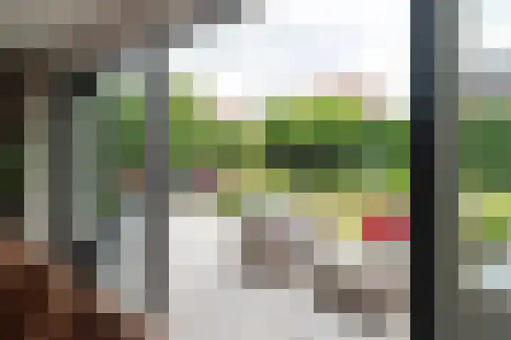 Jean-Louis Pisuisselaan 59 Beverwijk thumbnail 20