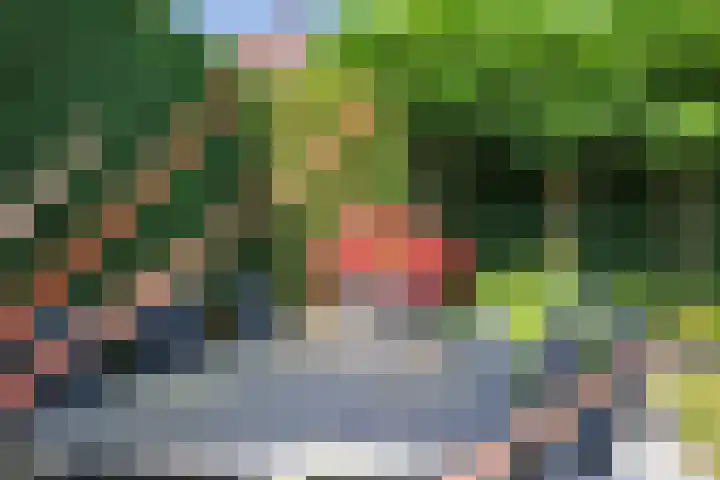 Jean-Louis Pisuisselaan 59 Beverwijk thumbnail 22