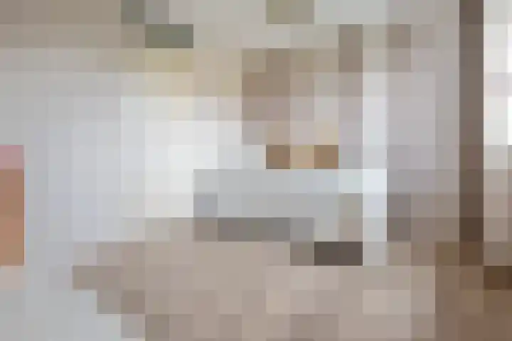 Jean-Louis Pisuisselaan 59 Beverwijk thumbnail 31