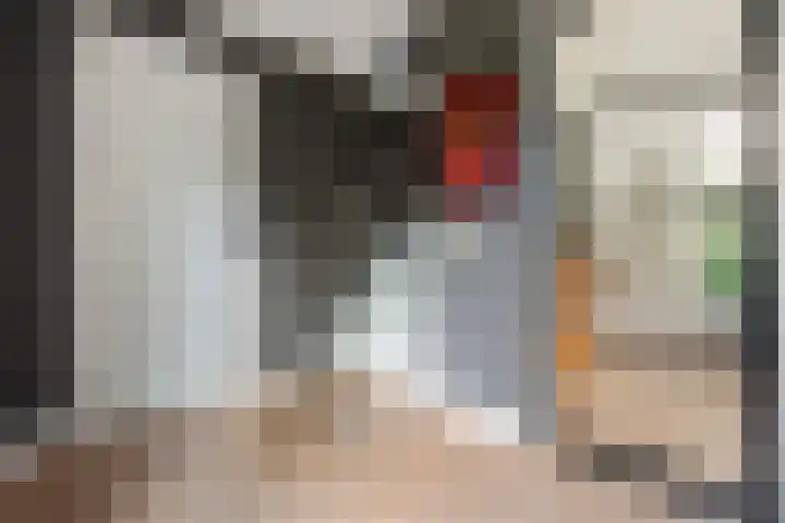 Jean-Louis Pisuisselaan 59 Beverwijk thumbnail 5