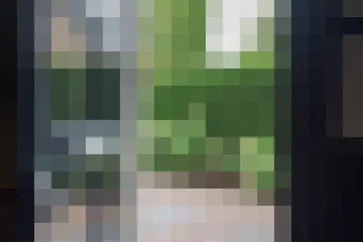Jean-Louis Pisuisselaan 59 Beverwijk thumbnail 7