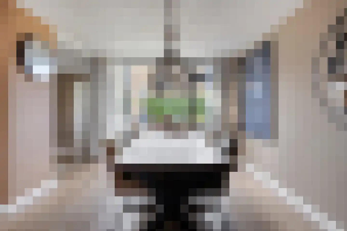 Jean Louis Pisuissestraat 29 Hengelo thumbnail 11