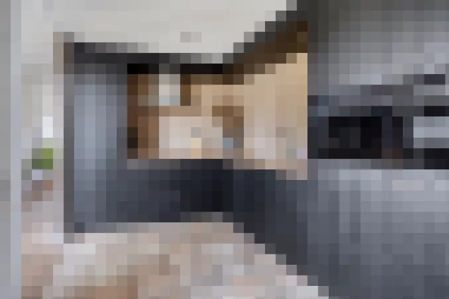 Jean Louis Pisuissestraat 29 Hengelo thumbnail 14