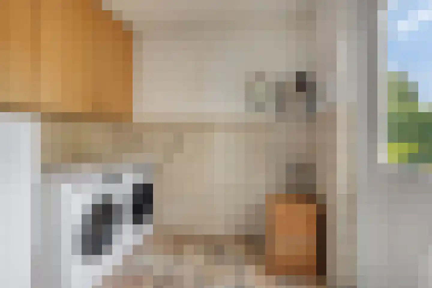 Jean Louis Pisuissestraat 29 Hengelo thumbnail 16