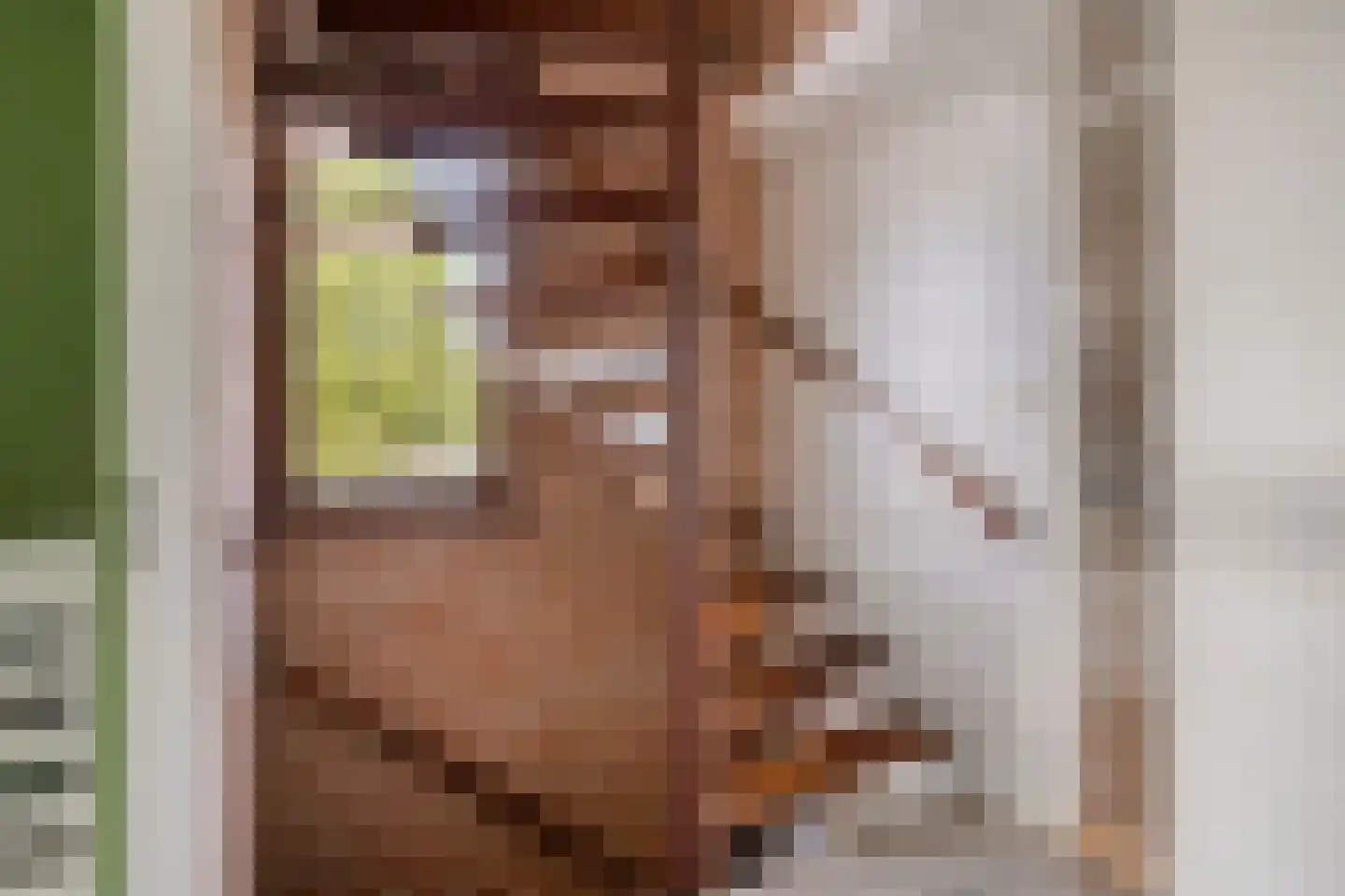 Jean Louis Pisuissestraat 29 Hengelo thumbnail 17