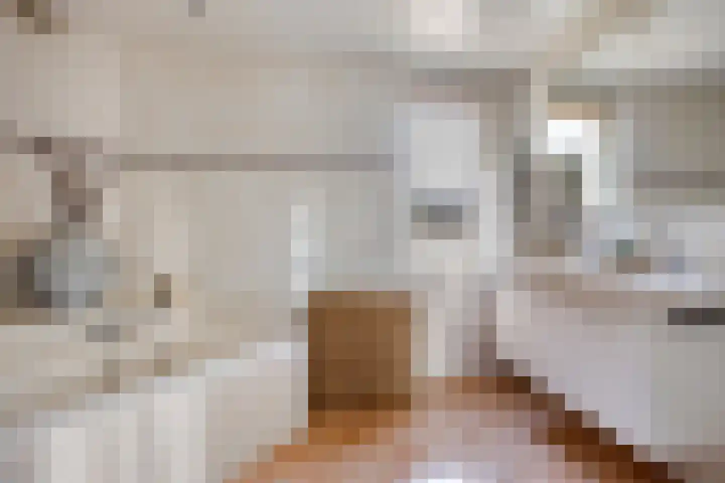 Jean Louis Pisuissestraat 29 Hengelo thumbnail 22