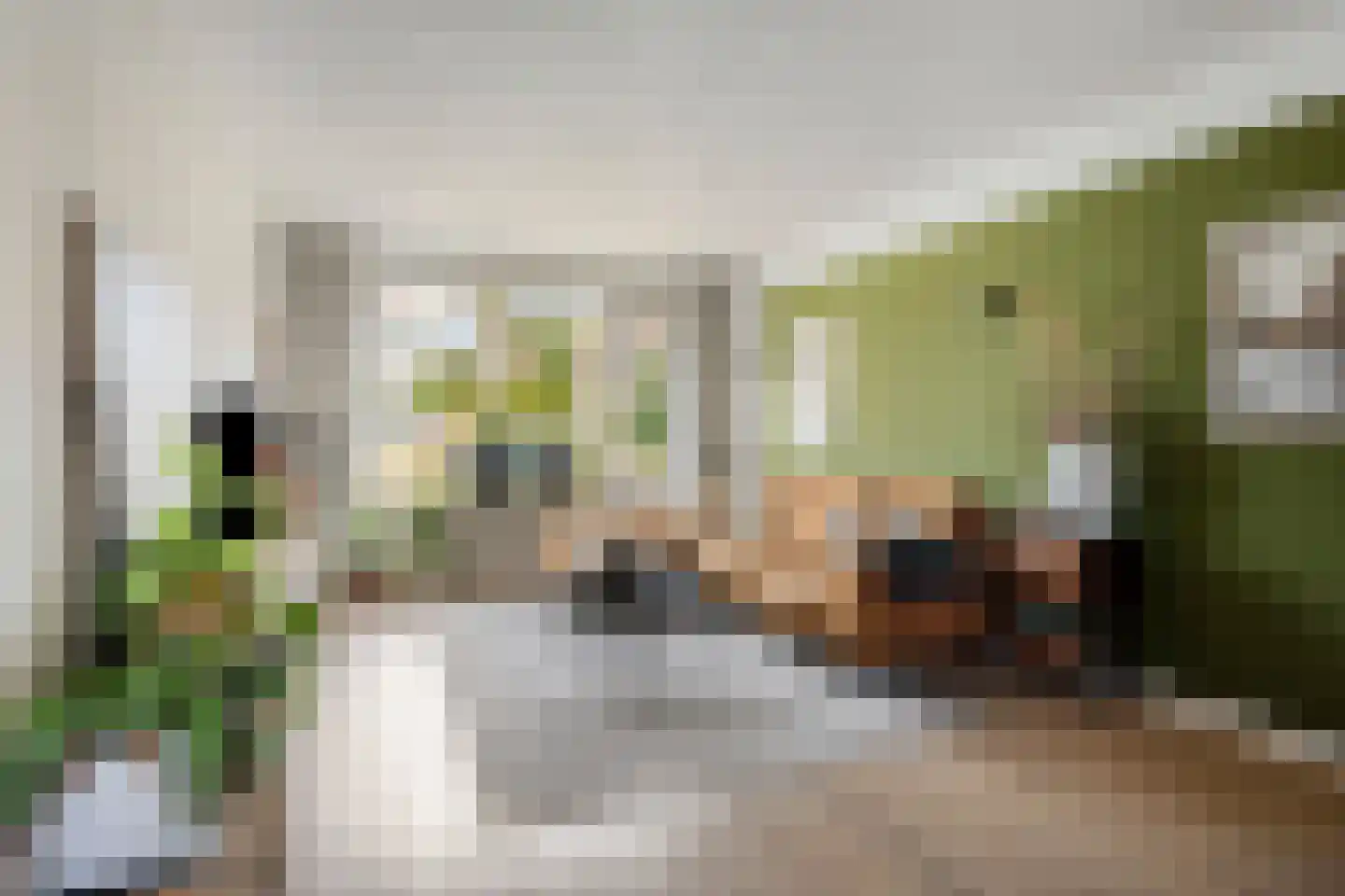 Jean Louis Pisuissestraat 29 Hengelo thumbnail 7