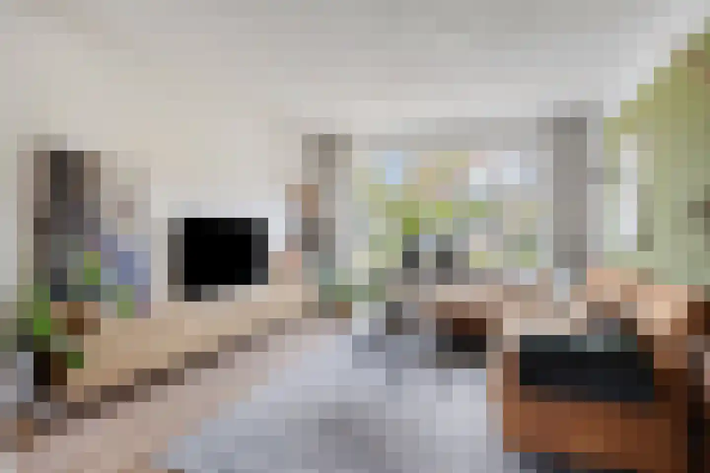 Jean Louis Pisuissestraat 29 Hengelo thumbnail 9