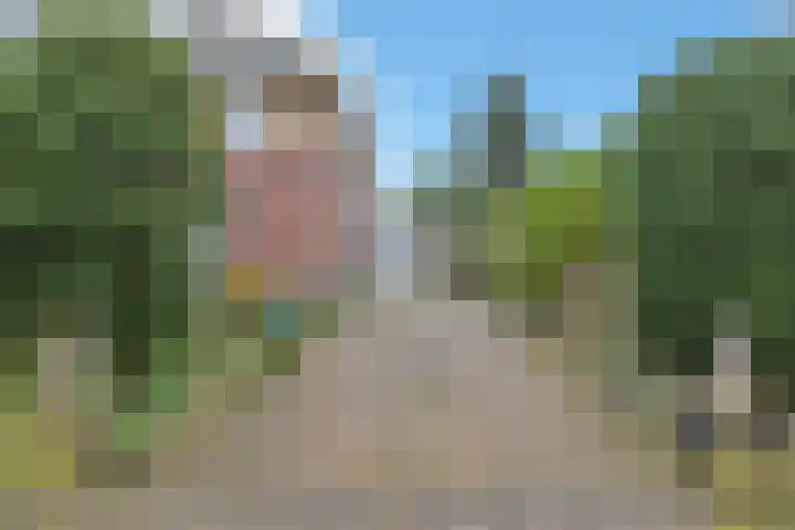 Jean Monnetpad 6 Den Haag thumbnail 5