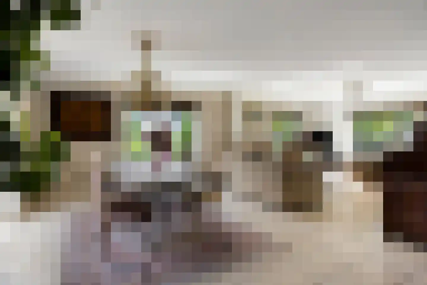 Jean Monnetstraat 15 Heemskerk thumbnail 5