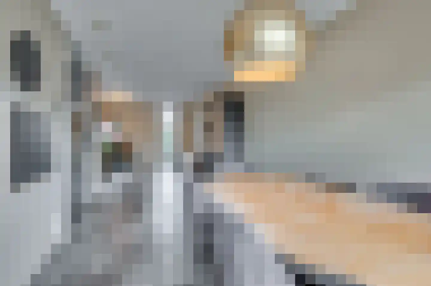 Jean Monnetstraat 19 Herten thumbnail 21