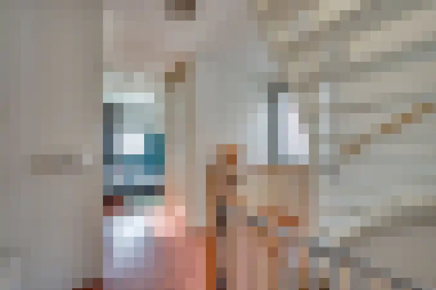 Jean Monnetstraat 19 Herten thumbnail 27