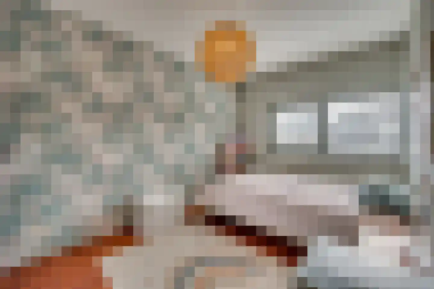 Jean Monnetstraat 19 Herten thumbnail 31