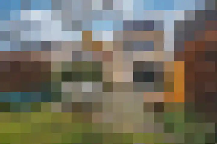 Jean Monnetstraat 19 Herten thumbnail 48