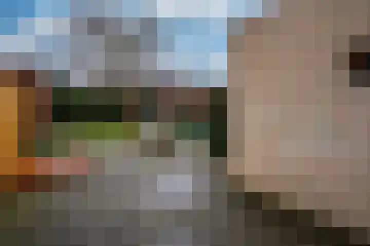 Jean Monnetstraat 19 Herten thumbnail 51
