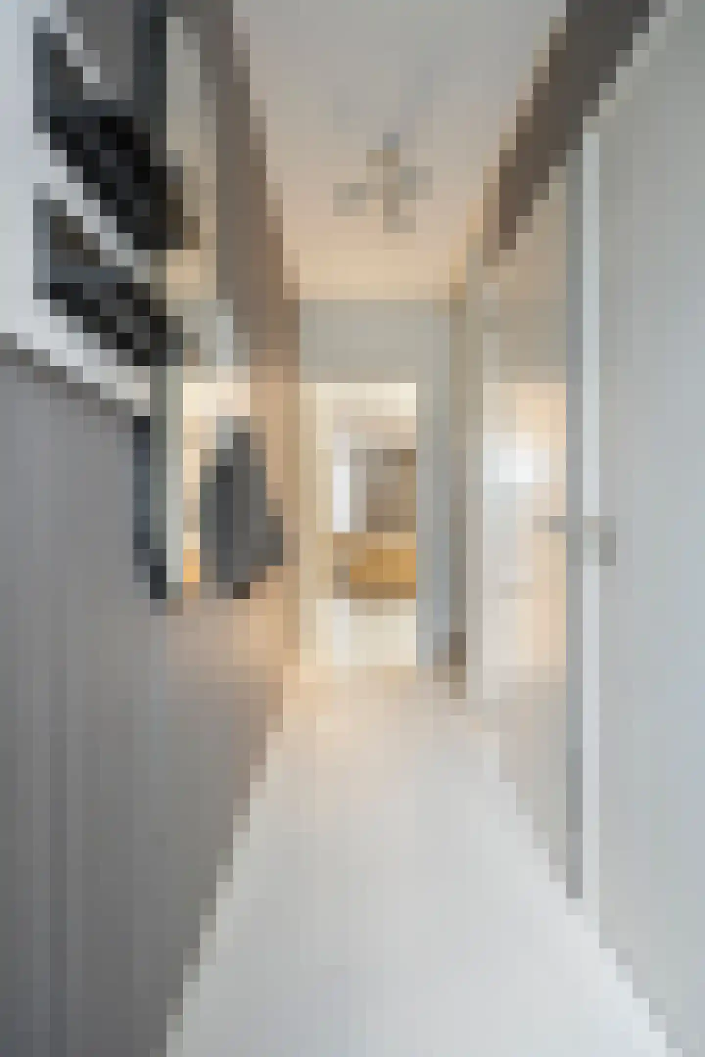 Jean Monnetstraat 20 Heemskerk thumbnail 18