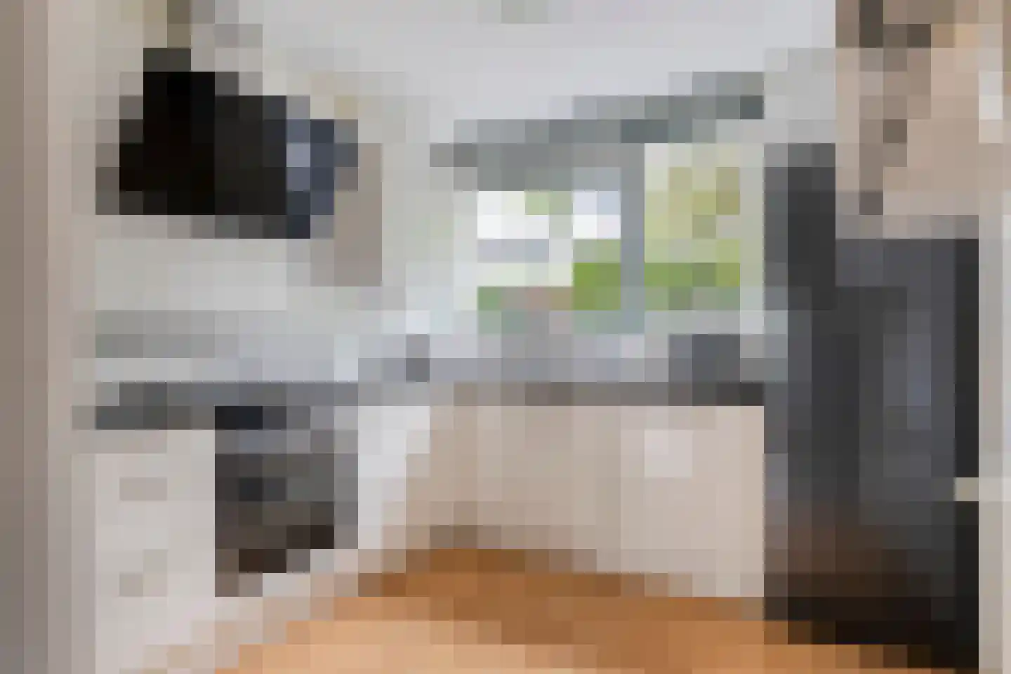 Jean Monnetstraat 65 Rotterdam thumbnail 10