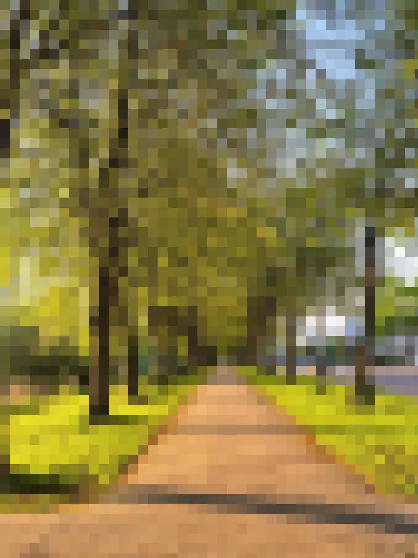 Jean Monnetstraat 65 Rotterdam thumbnail 29