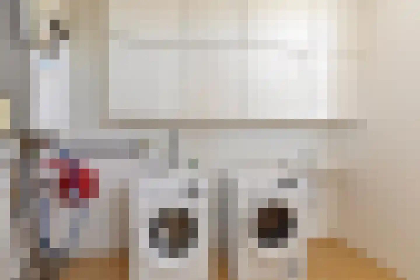 Jean Monnetstraat 9 Herten thumbnail 35