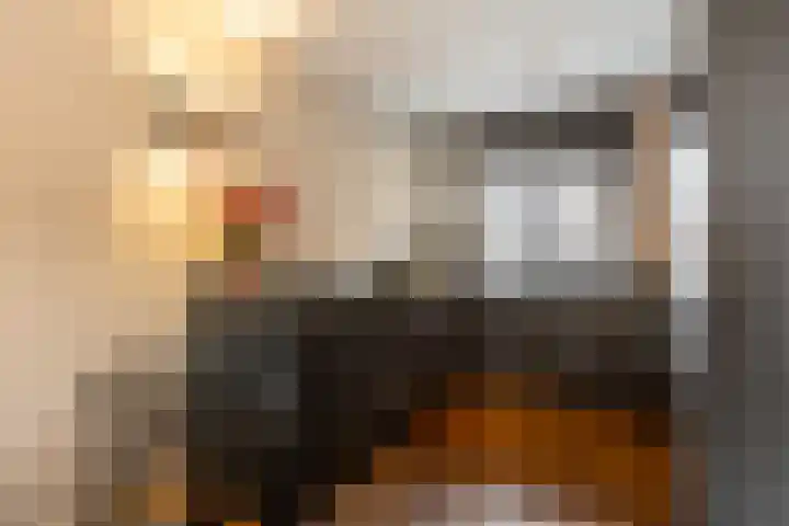 Jean-Paul Sartre-erf 28 Dordrecht thumbnail 6