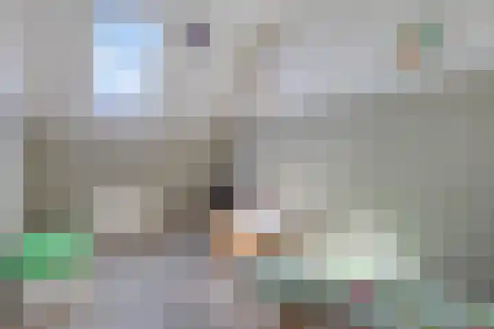 Jean-Paul Sartre-erf 63 Dordrecht thumbnail 27
