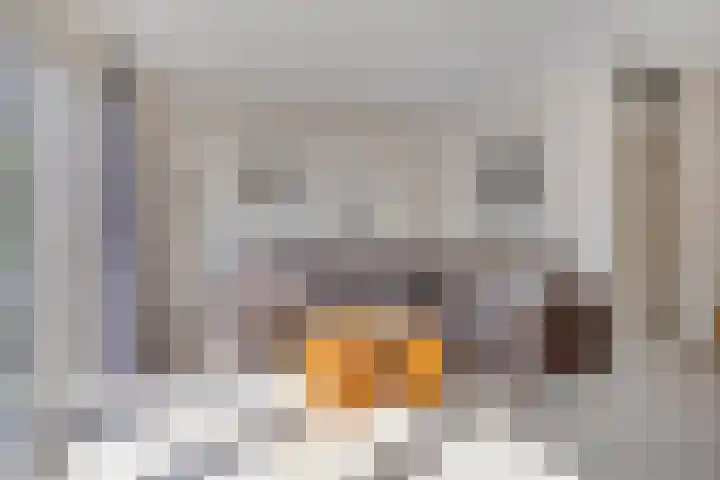 Jean-Paul Sartre-erf 63 Dordrecht thumbnail 5