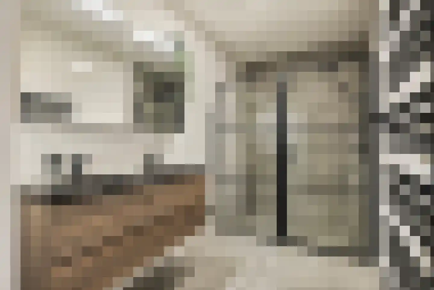 Jean-Paul Sartrestraat 24 Rotterdam thumbnail 32
