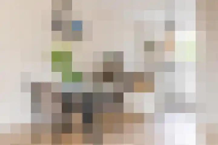 Jean Perrinstraat 15 Almere thumbnail 18