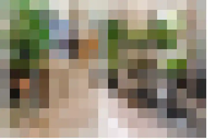 Jean Perrinstraat 15 Almere thumbnail 26