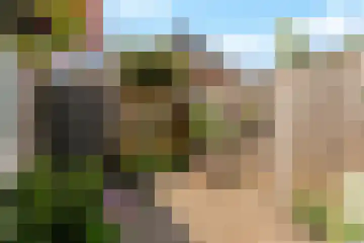 Jean Perrinstraat 15 Almere thumbnail 55