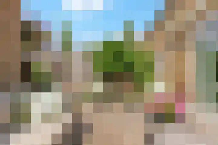 Jean Perrinstraat 15 Almere thumbnail 57
