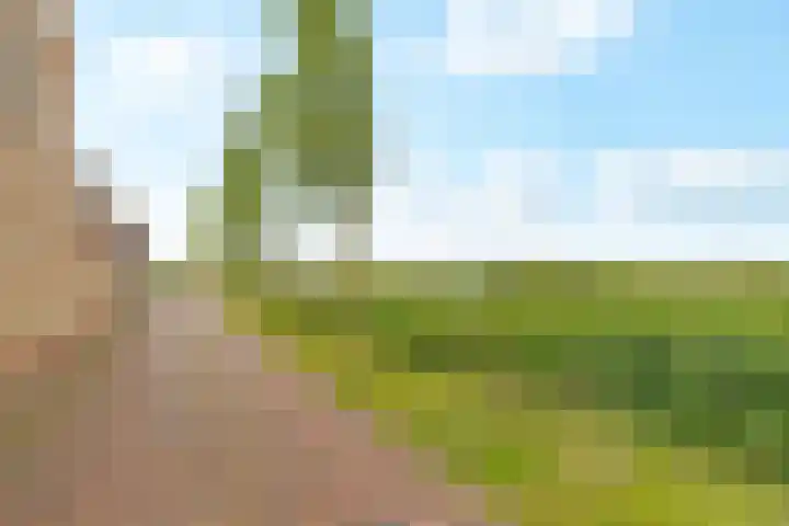 Jean Perrinstraat 15 Almere thumbnail 62
