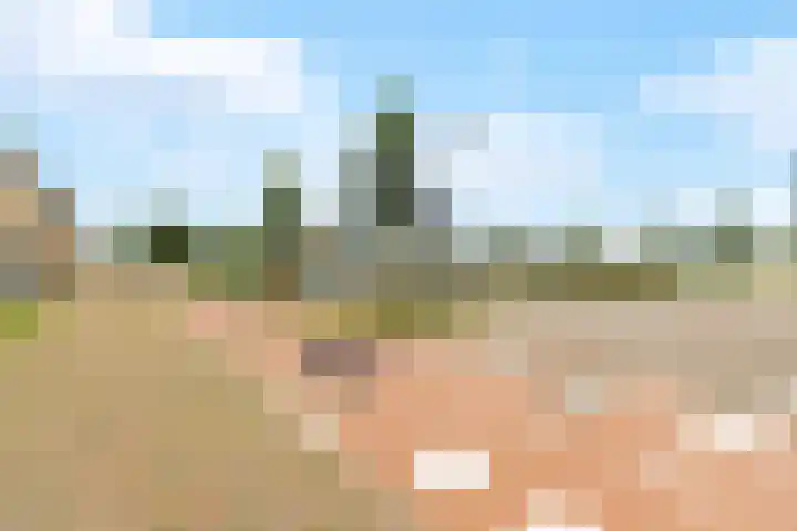 Jean Perrinstraat 15 Almere thumbnail 70