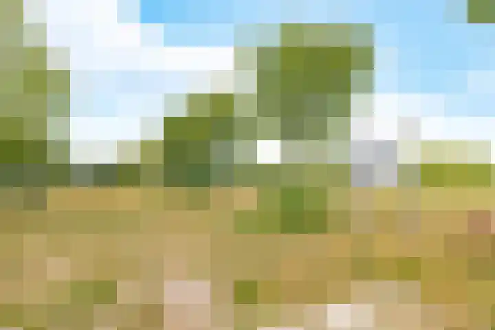 Jean Perrinstraat 15 Almere thumbnail 71