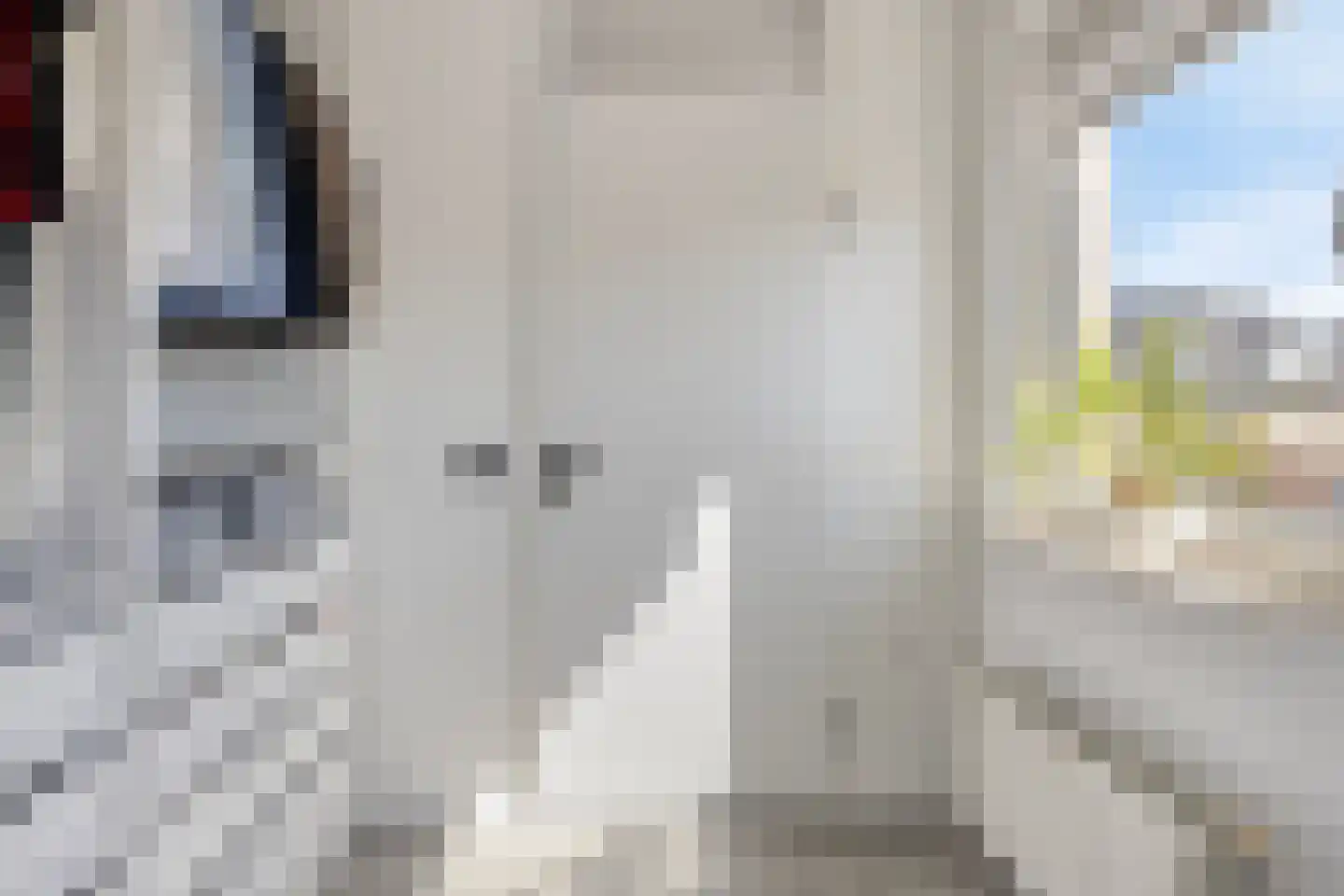 Jean Racinelaan 30 Eindhoven thumbnail 33