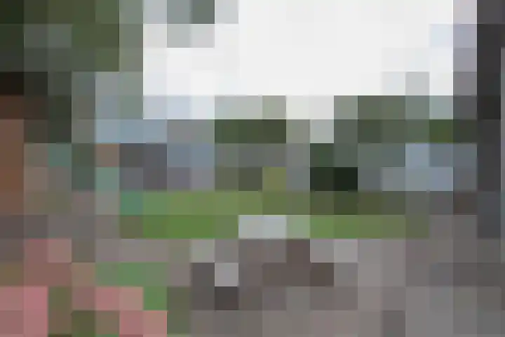 Jean Romestraat 3 Heythuysen thumbnail 32